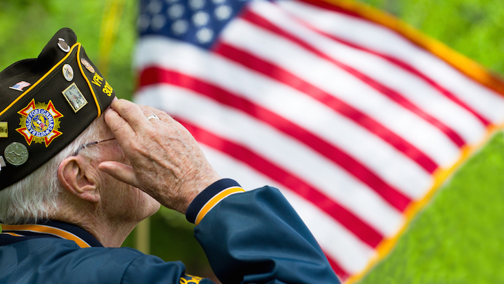 Veteran Salute